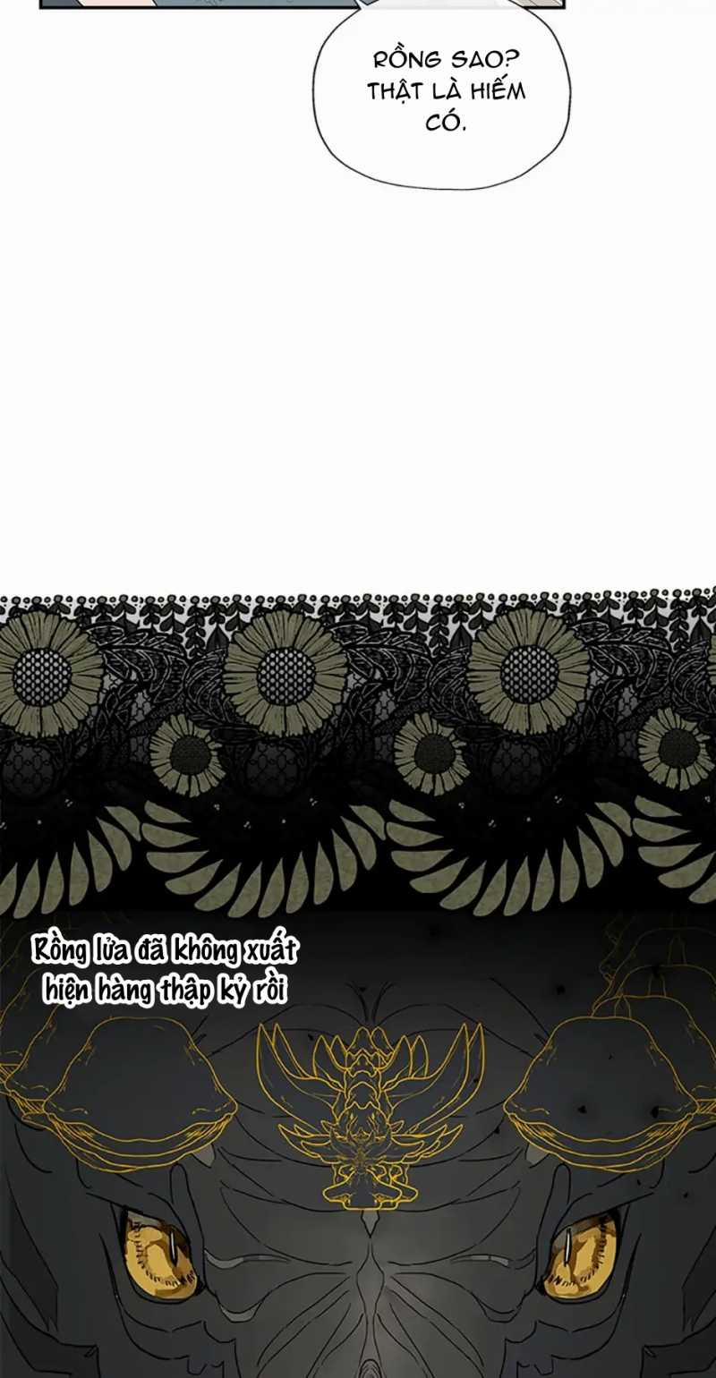 Cuộc Hôn Nhân Bất Đắc Dĩ Của Tôi 50.1 trang 11