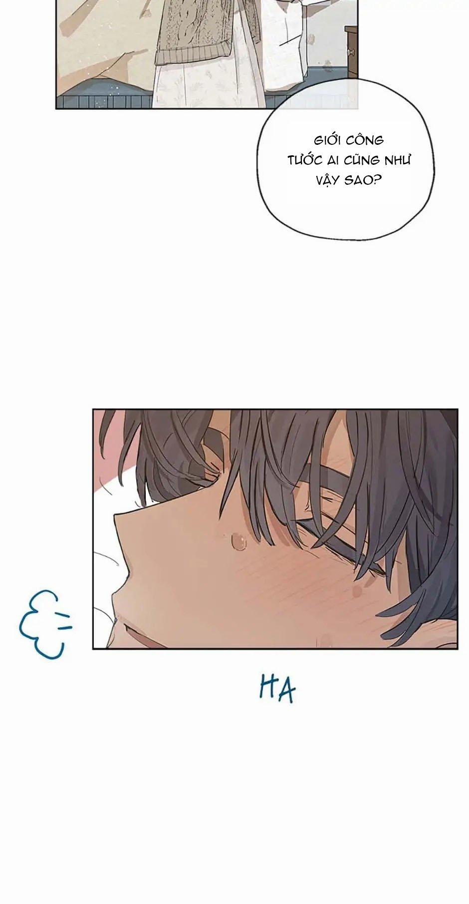 Cuộc Hôn Nhân Bất Đắc Dĩ Của Tôi 6.1 trang 19