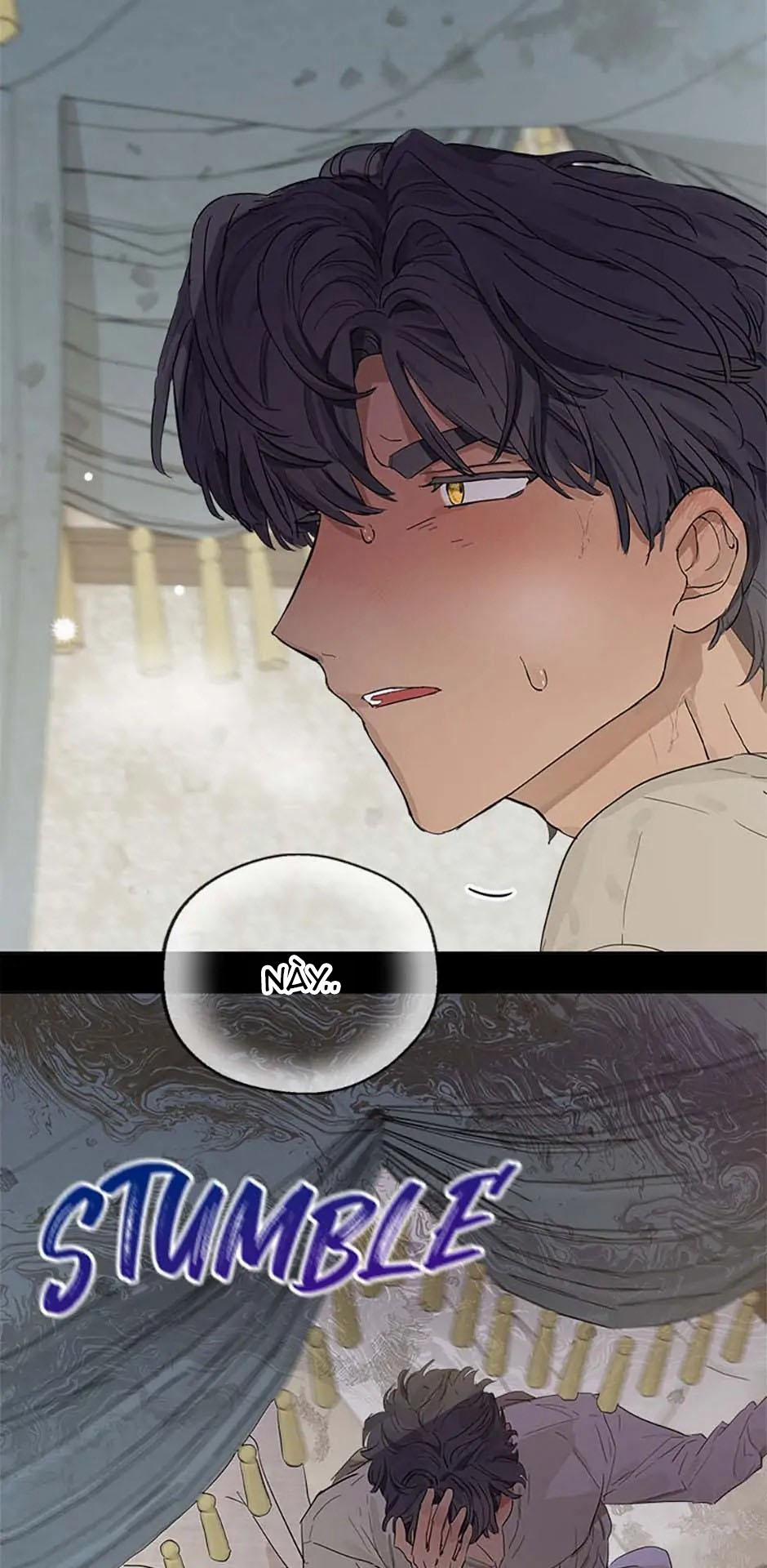 Cuộc Hôn Nhân Bất Đắc Dĩ Của Tôi 6.2 trang 17