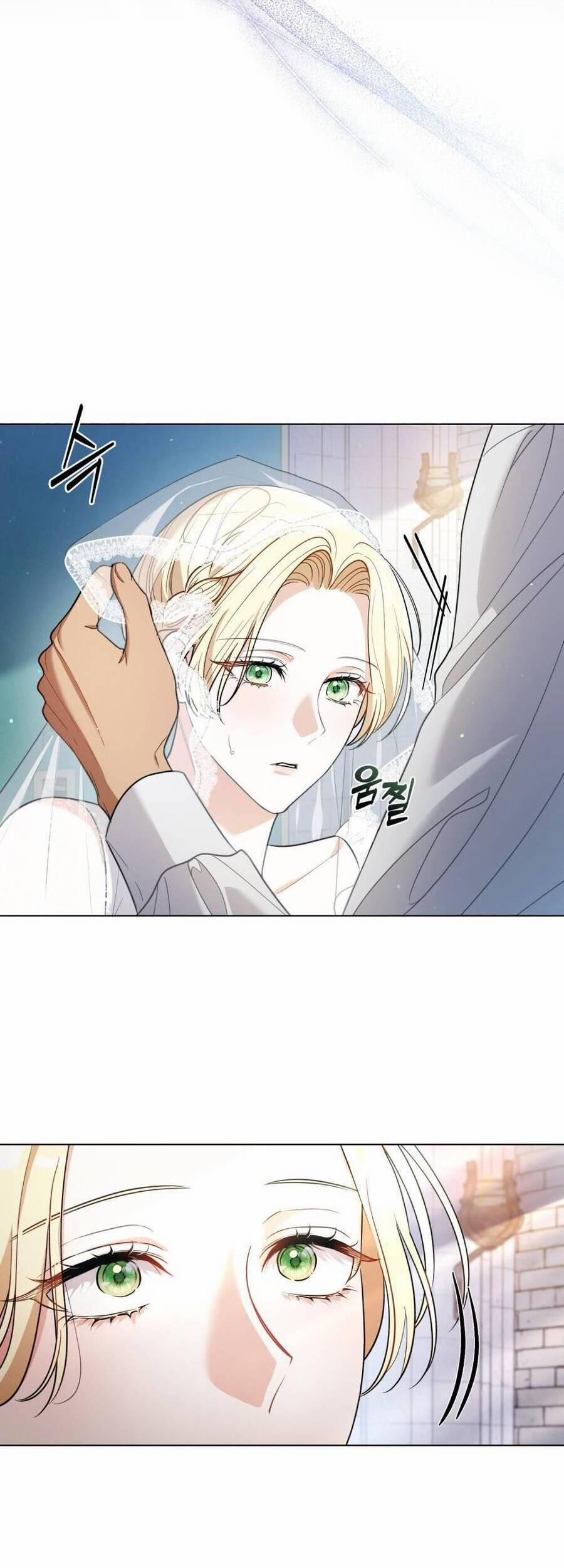 Cuộc Hôn Nhân Chính Trị Với Kẻ Thù Dịu Dàng 1 trang 25