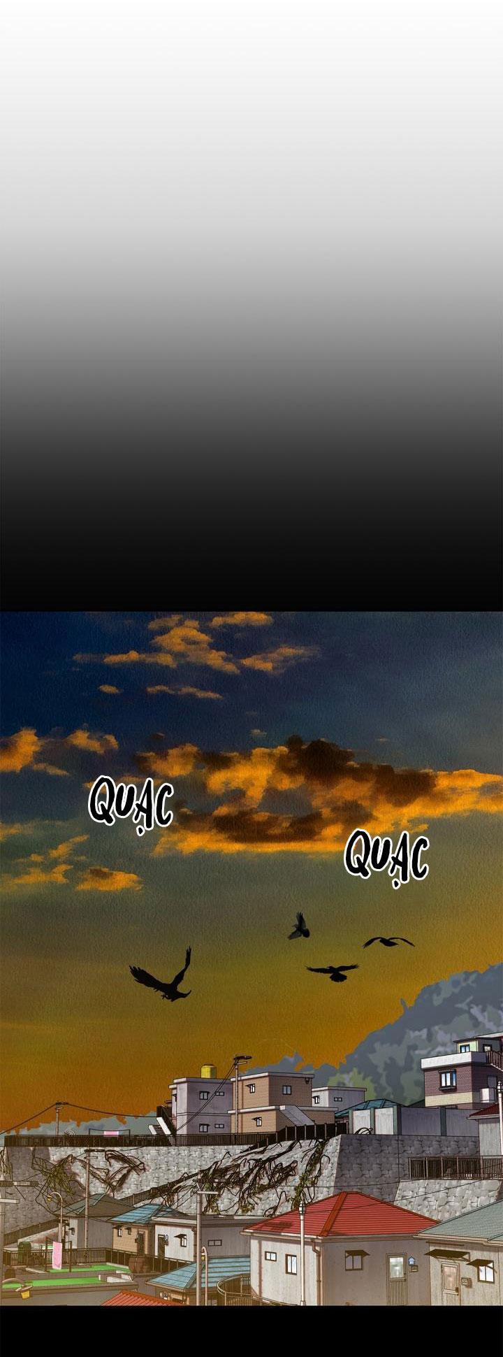 CUỘC HÔN NHÂN ĐÁNH CẮP CỦA HỒ LY 16 trang 21