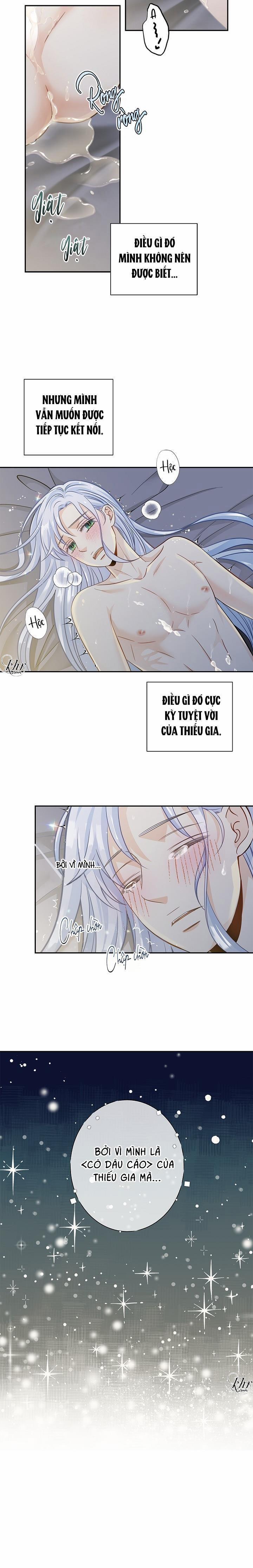 CUỘC HÔN NHÂN ĐÁNH CẮP CỦA HỒ LY 9.5 trang 1