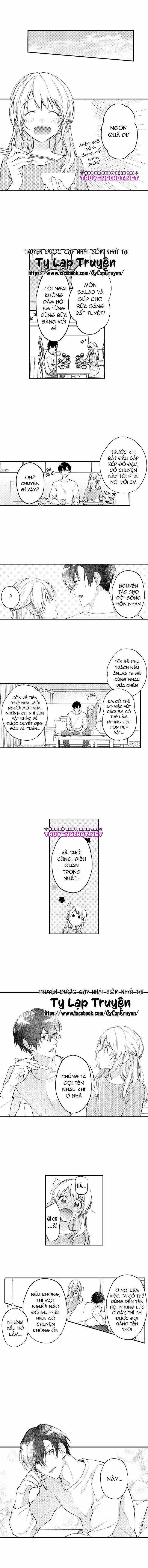 Cuộc Hôn Nhân Giả Cho Kì Nghỉ Thác Loạn 4 trang 4