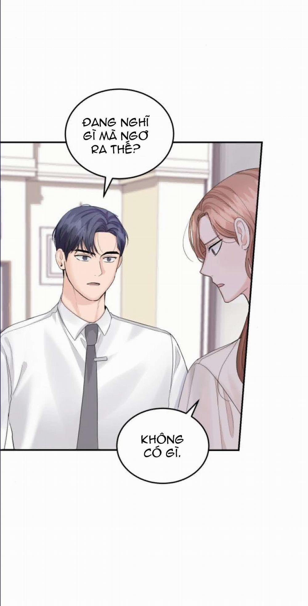 Cuộc Hôn Nhân Hoàn Hảo 11.3 trang 14