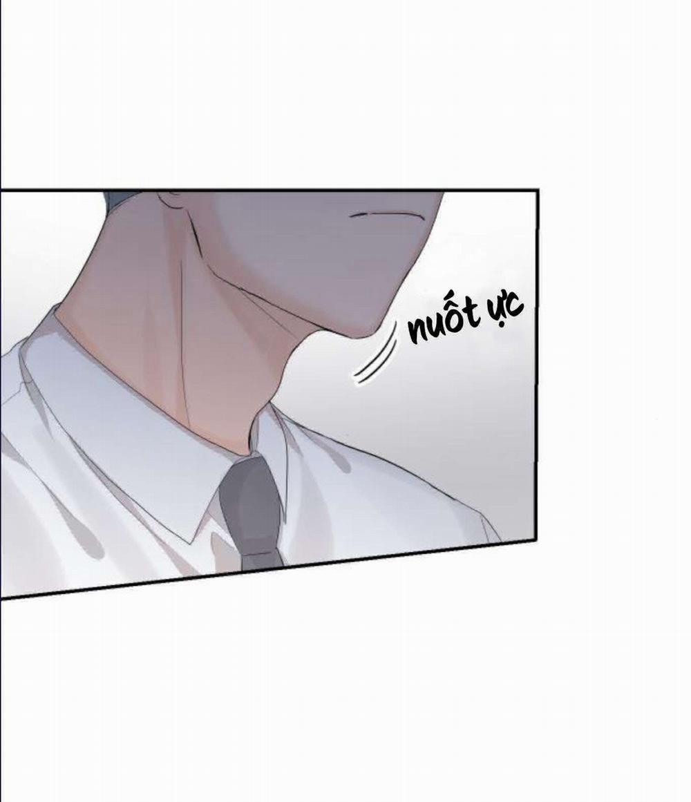 Cuộc Hôn Nhân Hoàn Hảo 11.3 trang 19