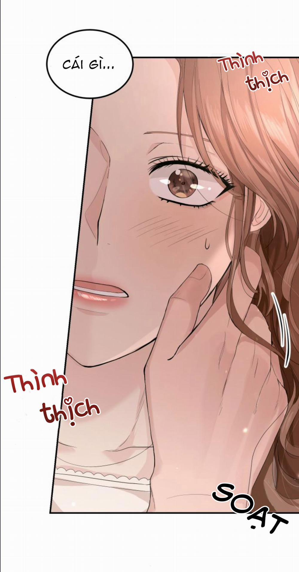 Cuộc Hôn Nhân Hoàn Hảo 12.2 trang 3