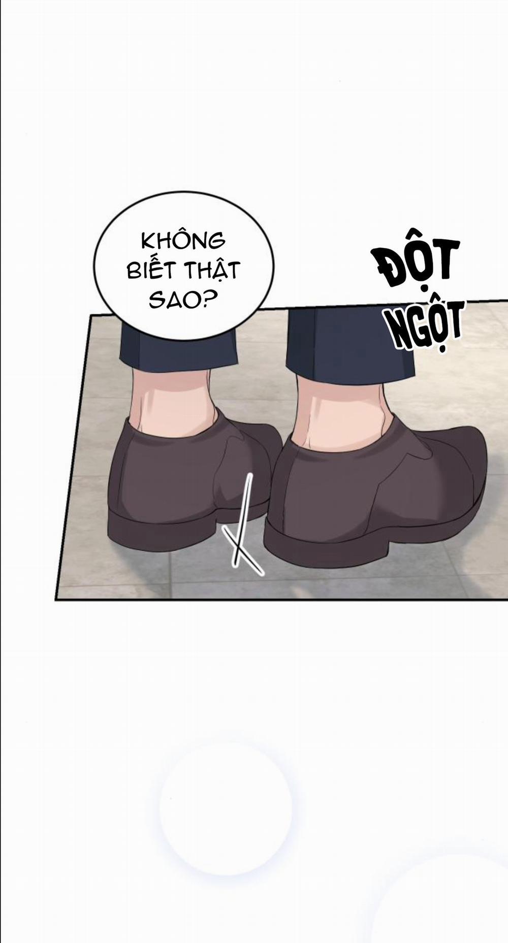 Cuộc Hôn Nhân Hoàn Hảo 13.3 trang 13