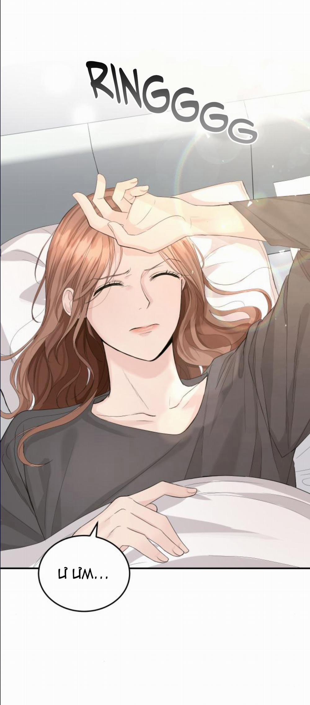 Cuộc Hôn Nhân Hoàn Hảo 13.3 trang 17