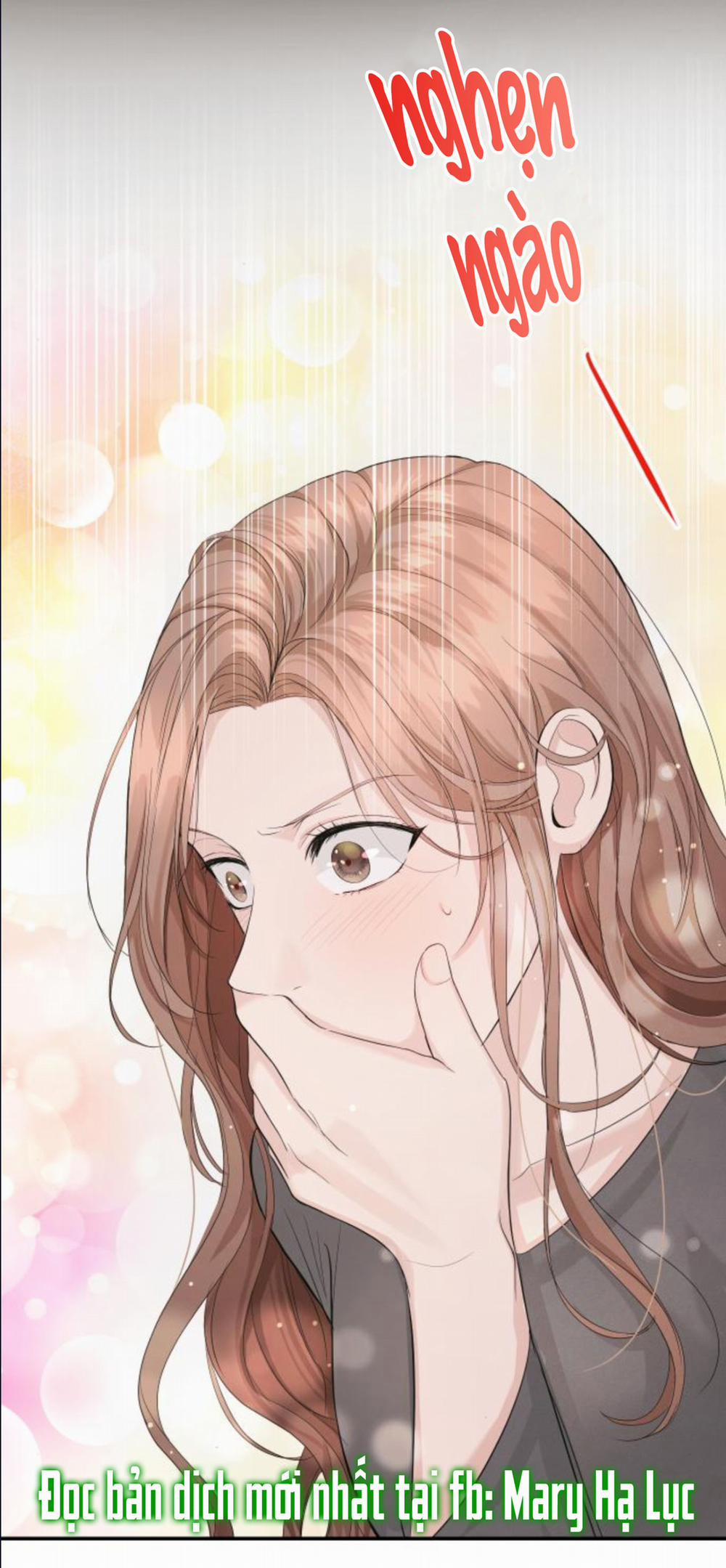 Cuộc Hôn Nhân Hoàn Hảo 13.3 trang 28