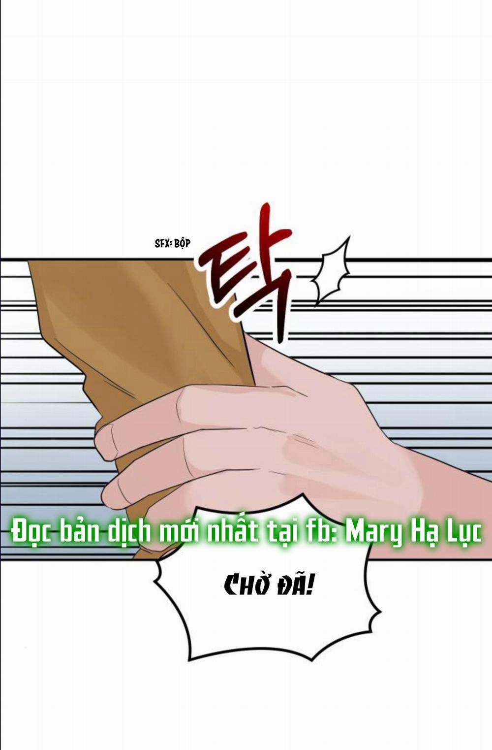 Cuộc Hôn Nhân Hoàn Hảo 15.2 trang 9