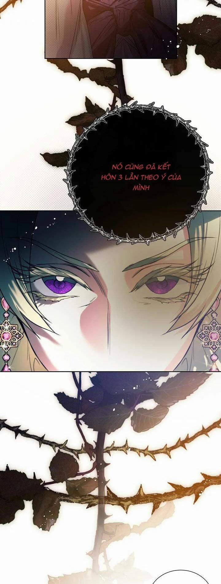 Cuộc Hôn Nhân Hoàng Gia 15 trang 29