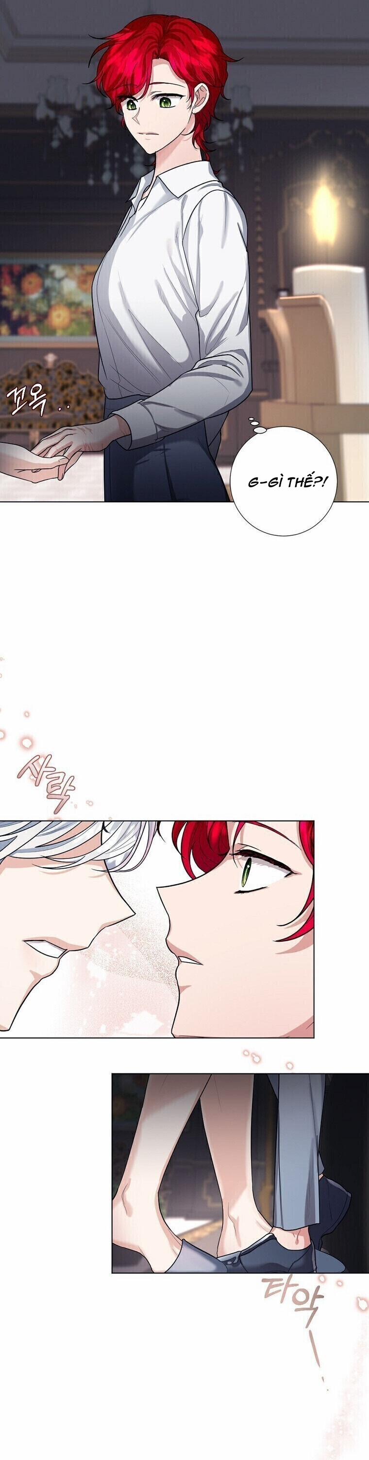 Cuộc Hôn Nhân Hợp Đồng Của Công Tước Ashleyan 13.1 trang 3