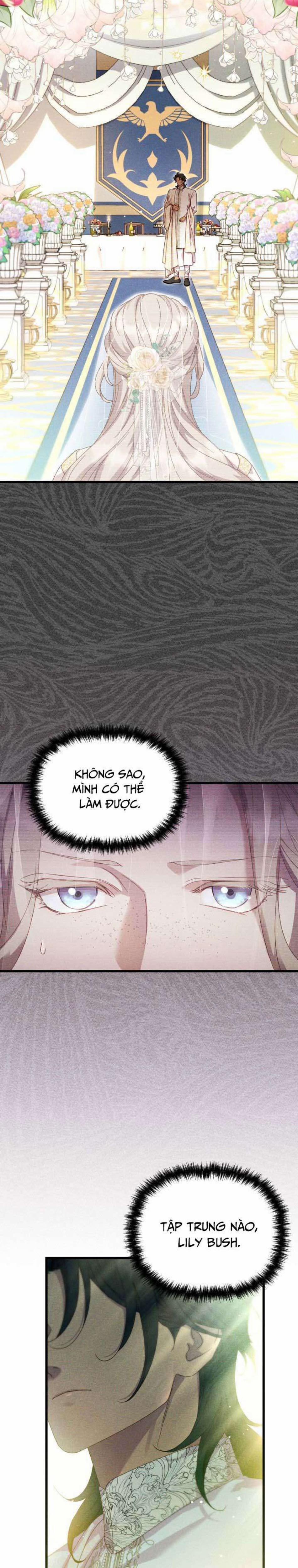 Cuộc Hôn Nhân Thế Thân Của Lily Bush 1 trang 4