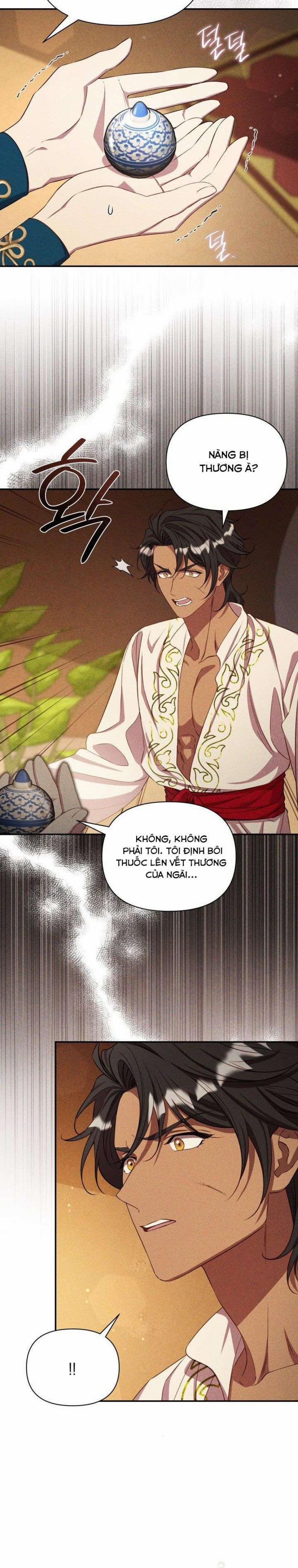 Cuộc Hôn Nhân Thế Thân Của Lily Bush 14 trang 7