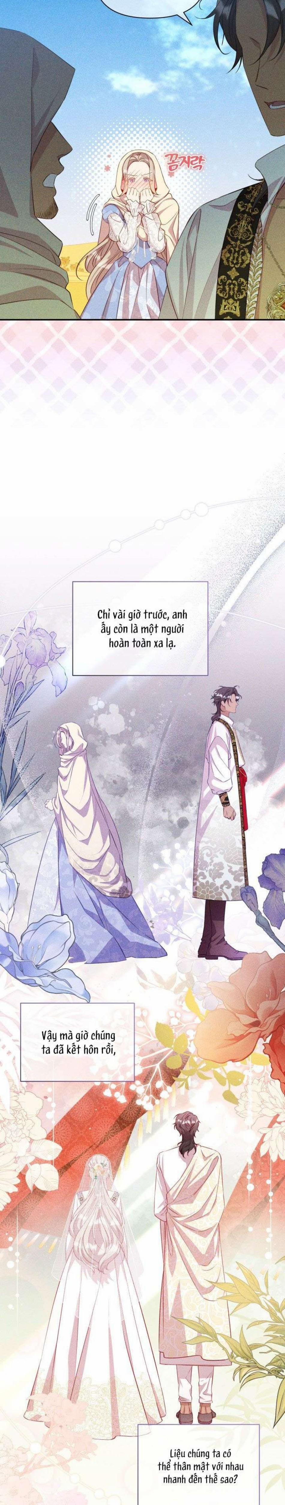 Cuộc Hôn Nhân Thế Thân Của Lily Bush 4 trang 7