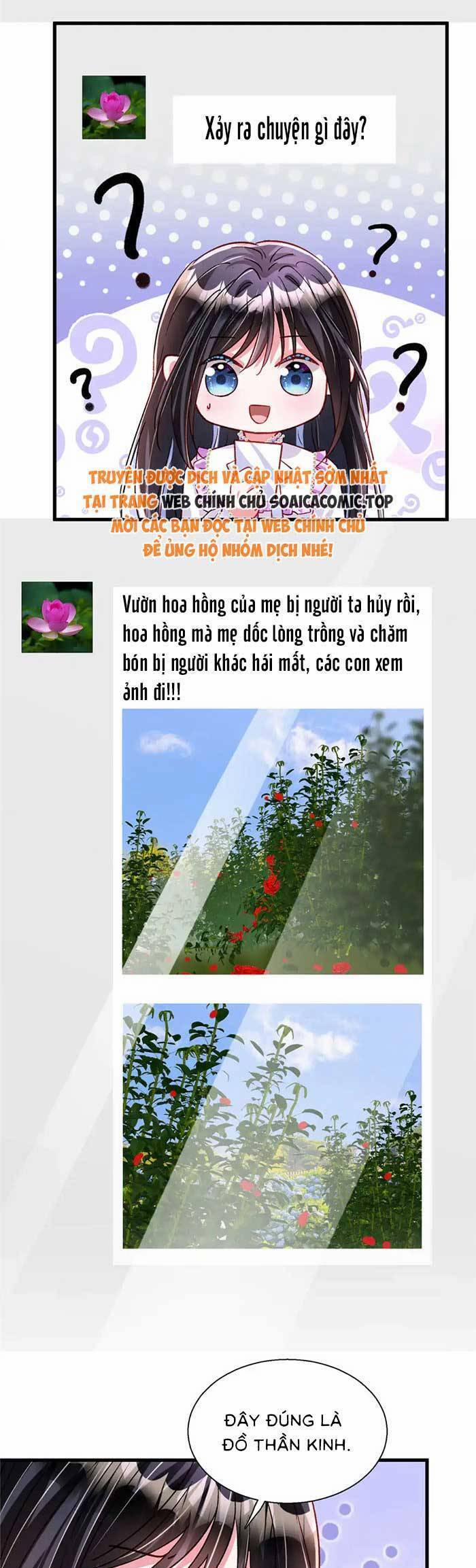 Cuộc Hôn Nhân Với Boss Nhà Giàu Khét Tiếng 209 trang 15