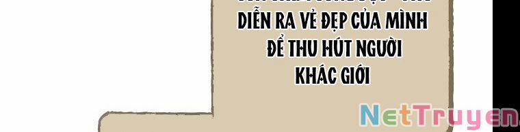 Cuộc Hôn Nhân Vụ Lợi 37.1 trang 127