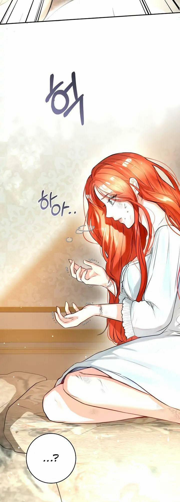 Cuộc Hôn Nhân Xa Hoa Của Đại Công Tước Là Giả 1 trang 17