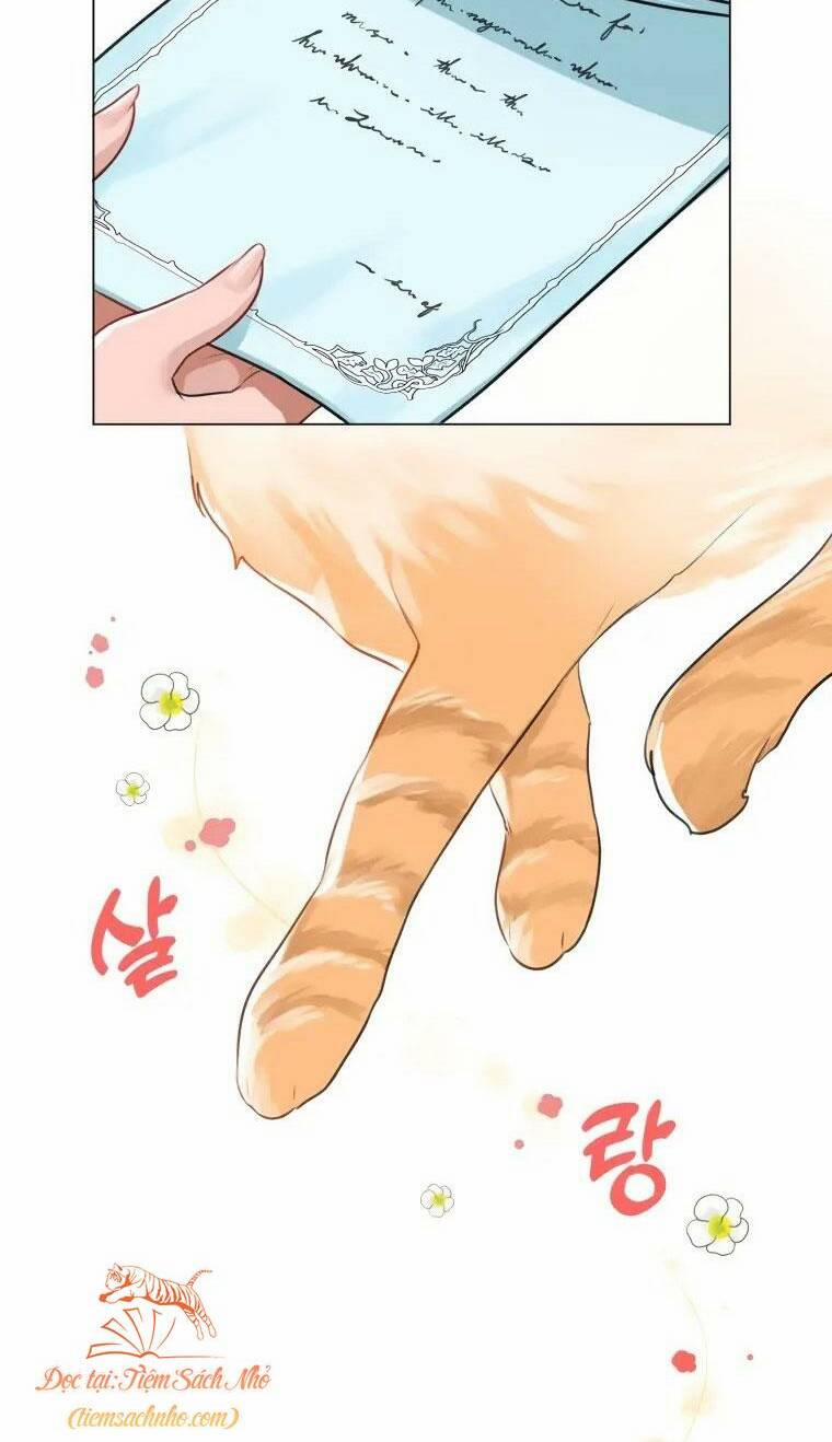 Cuộc Hôn Nhân Xa Hoa Của Đại Công Tước Là Giả 10 trang 47