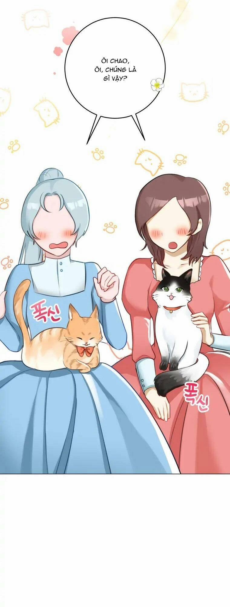 Cuộc Hôn Nhân Xa Hoa Của Đại Công Tước Là Giả 10 trang 48