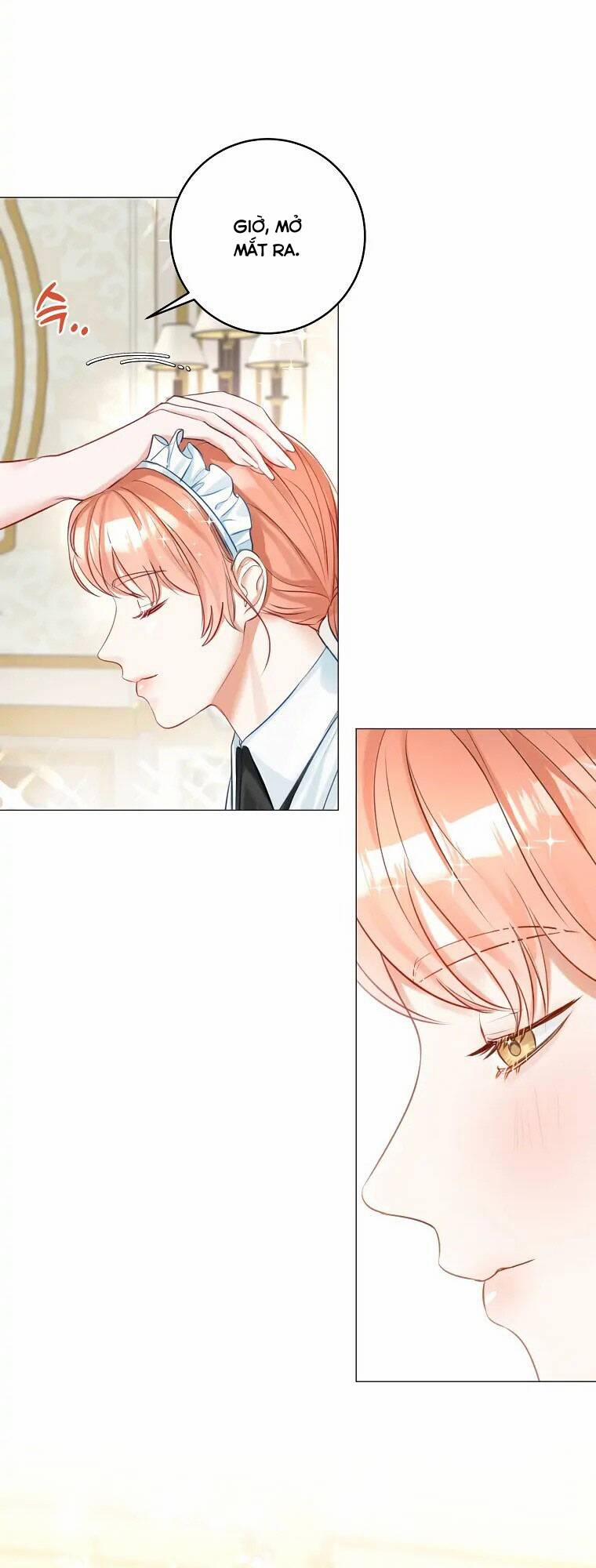 Cuộc Hôn Nhân Xa Hoa Của Đại Công Tước Là Giả 14 trang 17