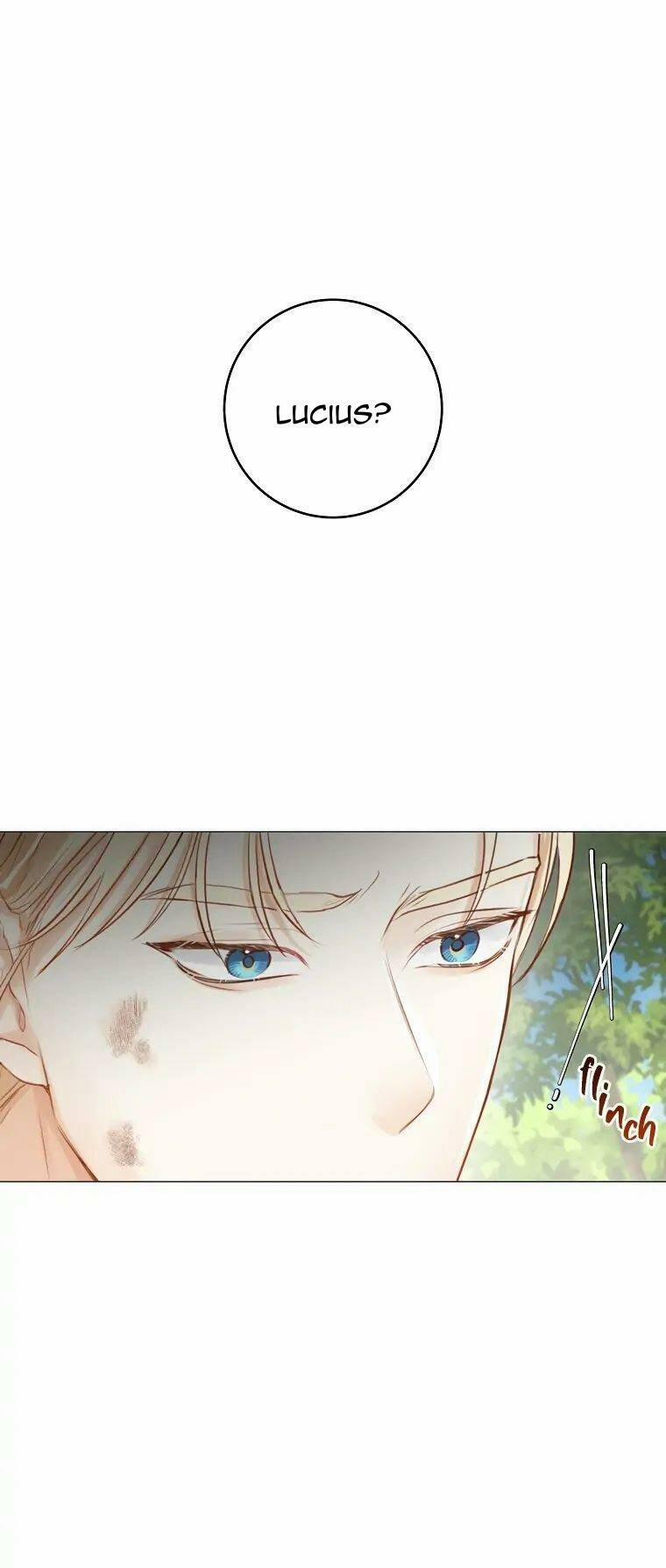 Cuộc Hôn Nhân Xa Hoa Của Đại Công Tước Là Giả 17 trang 0