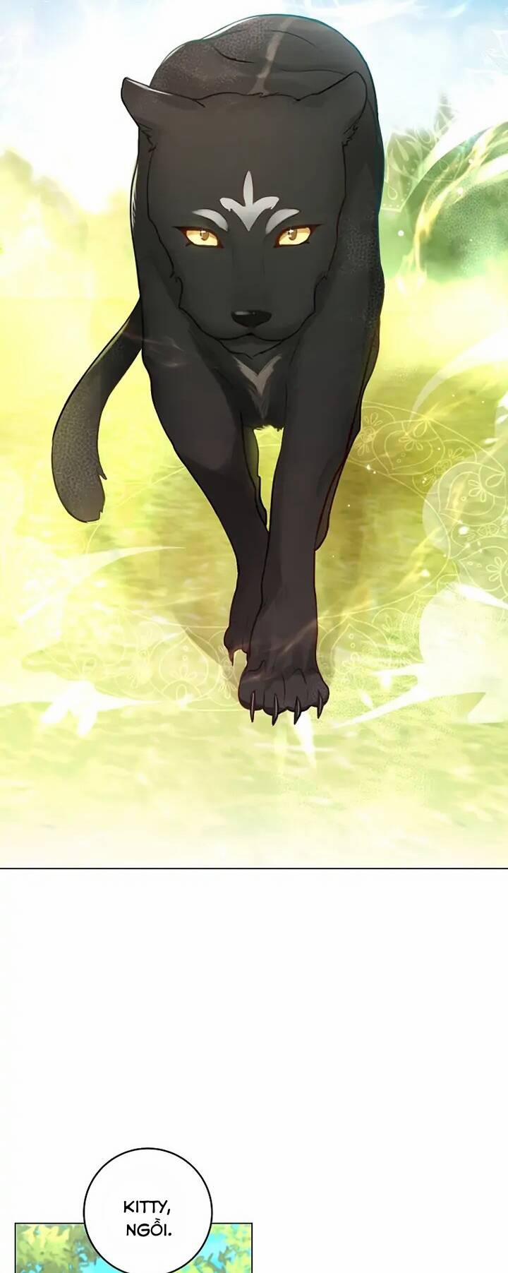 Cuộc Hôn Nhân Xa Hoa Của Đại Công Tước Là Giả 18 trang 11