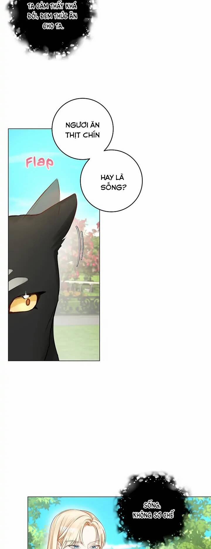 Cuộc Hôn Nhân Xa Hoa Của Đại Công Tước Là Giả 18 trang 17