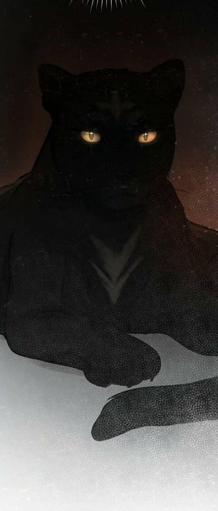 Cuộc Hôn Nhân Xa Hoa Của Đại Công Tước Là Giả 18 trang 2