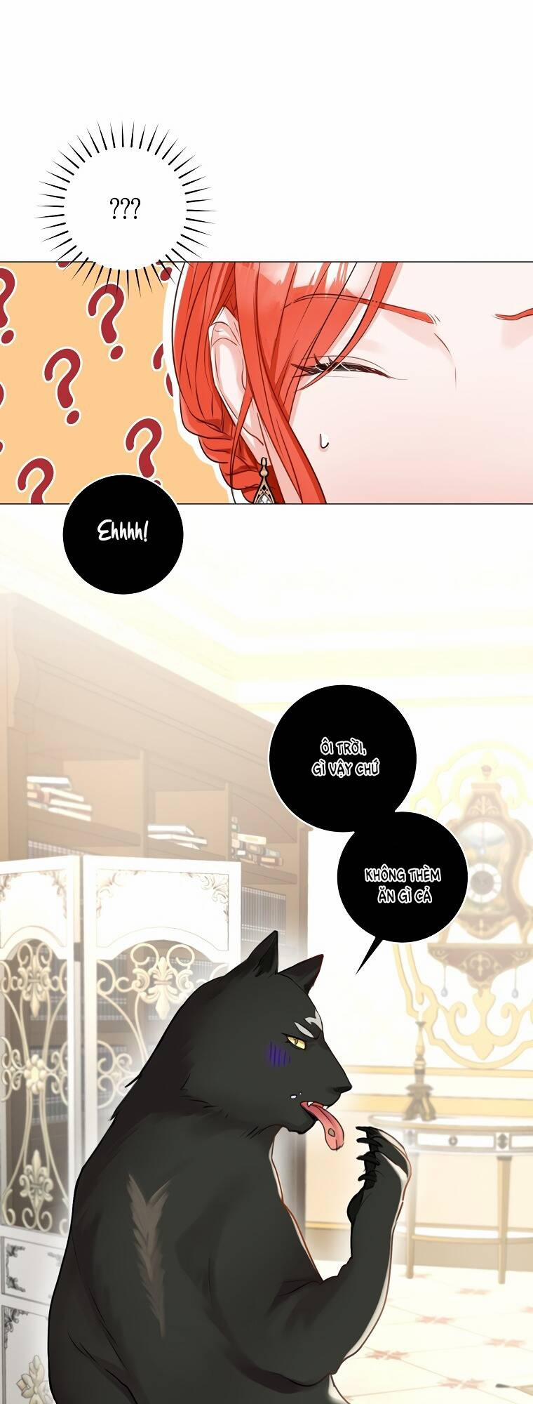 Cuộc Hôn Nhân Xa Hoa Của Đại Công Tước Là Giả 19 trang 10