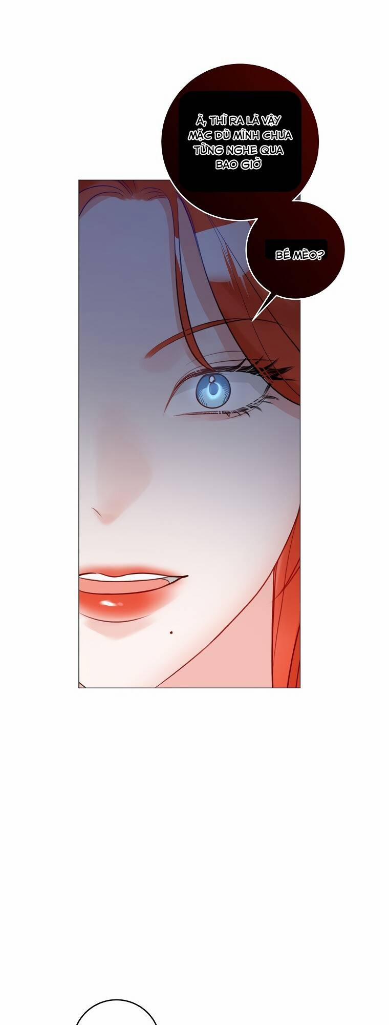 Cuộc Hôn Nhân Xa Hoa Của Đại Công Tước Là Giả 19 trang 26