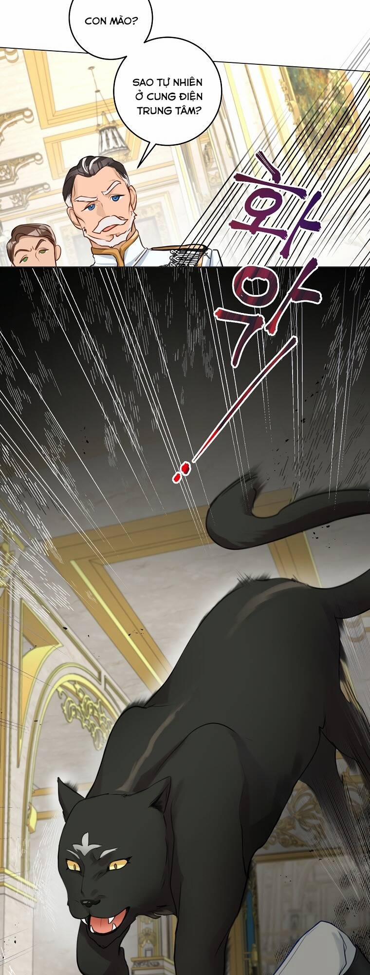 Cuộc Hôn Nhân Xa Hoa Của Đại Công Tước Là Giả 19 trang 27