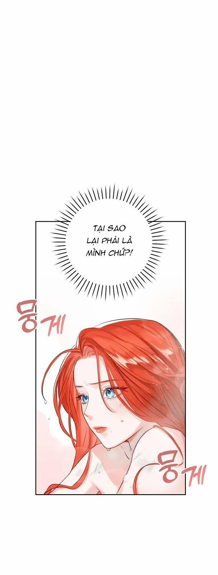 Cuộc Hôn Nhân Xa Hoa Của Đại Công Tước Là Giả 2 trang 3