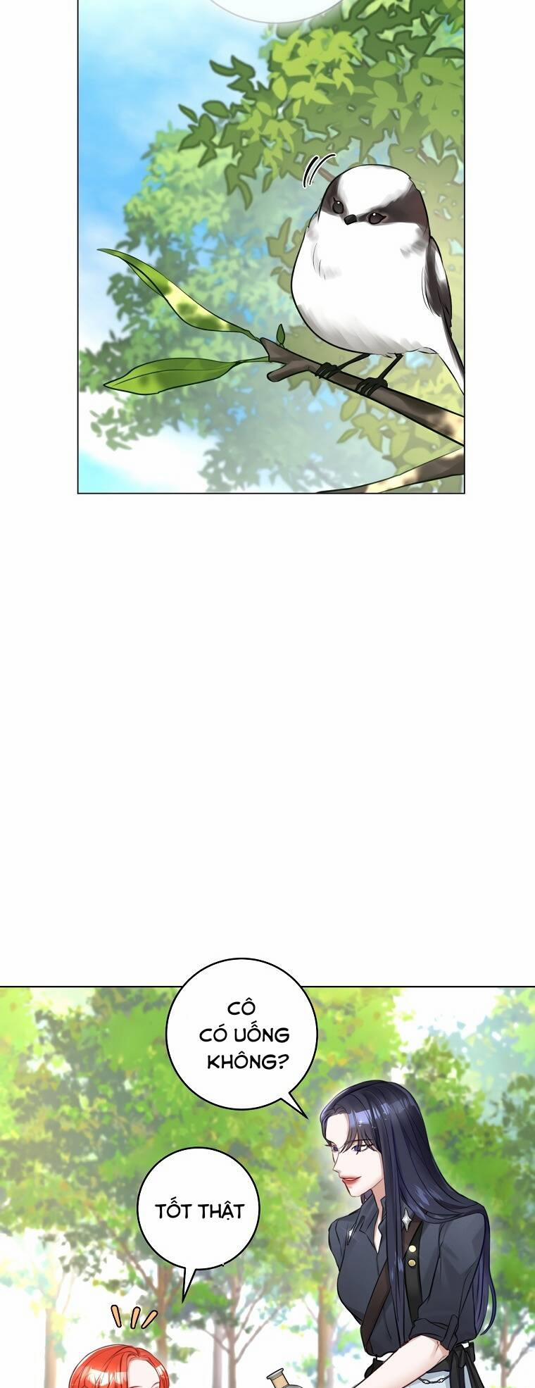 Cuộc Hôn Nhân Xa Hoa Của Đại Công Tước Là Giả 23 trang 23