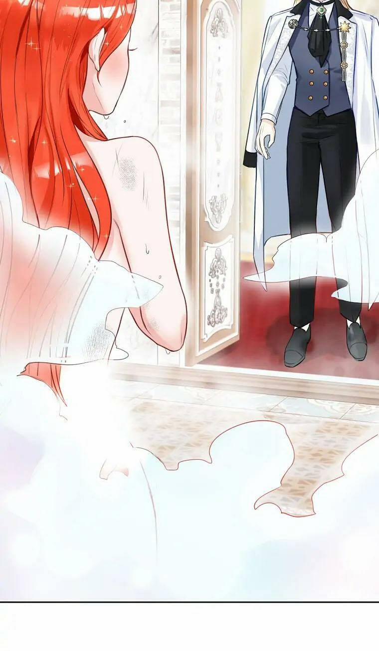 Cuộc Hôn Nhân Xa Hoa Của Đại Công Tước Là Giả 3 trang 15