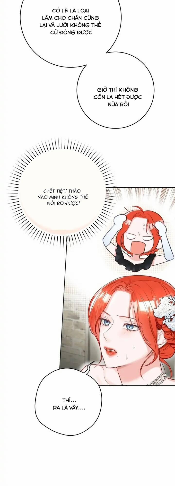 Cuộc Hôn Nhân Xa Hoa Của Đại Công Tước Là Giả 33 trang 21