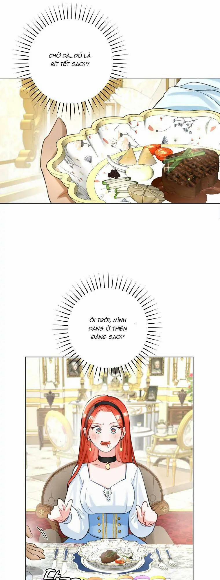 Cuộc Hôn Nhân Xa Hoa Của Đại Công Tước Là Giả 4 trang 14