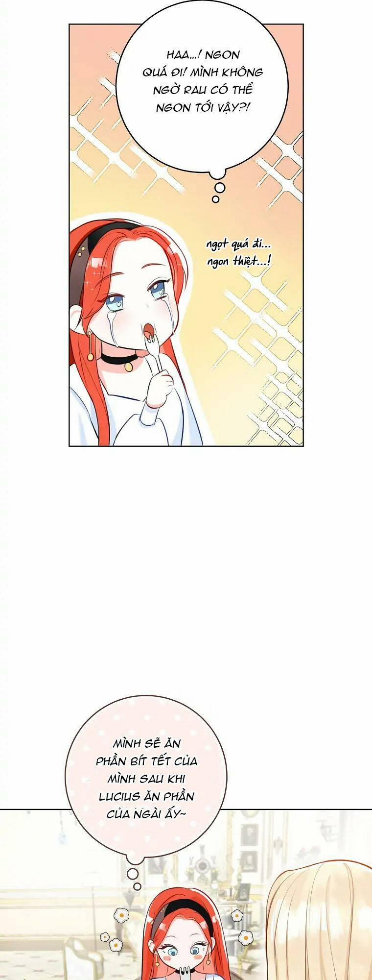 Cuộc Hôn Nhân Xa Hoa Của Đại Công Tước Là Giả 4 trang 17