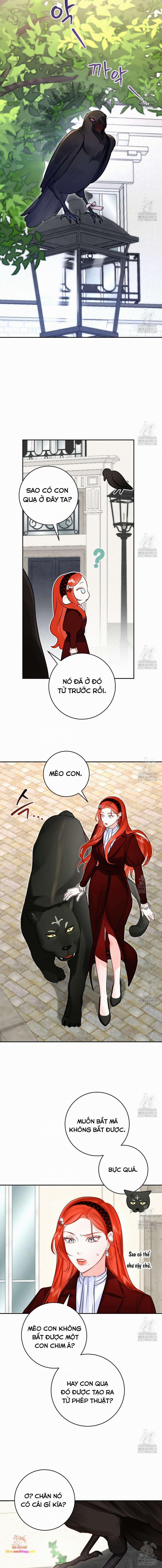 Cuộc Hôn Nhân Xa Hoa Của Đại Công Tước Là Giả 60 trang 10