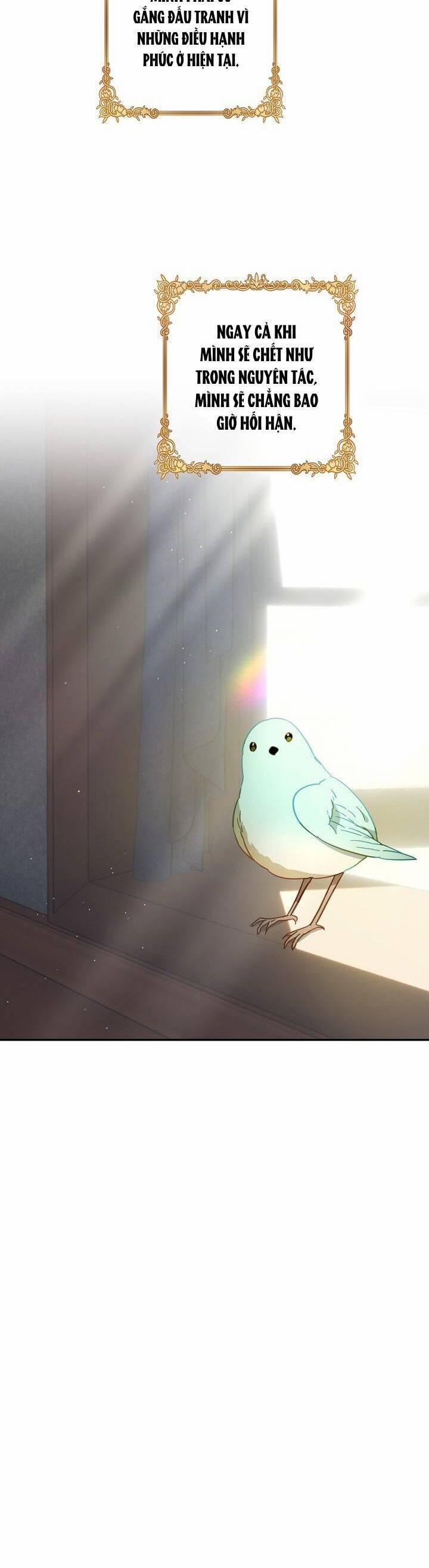 Cuộc Ly Hôn Với Chồng Tôi Đã Thất Bại 48 trang 7