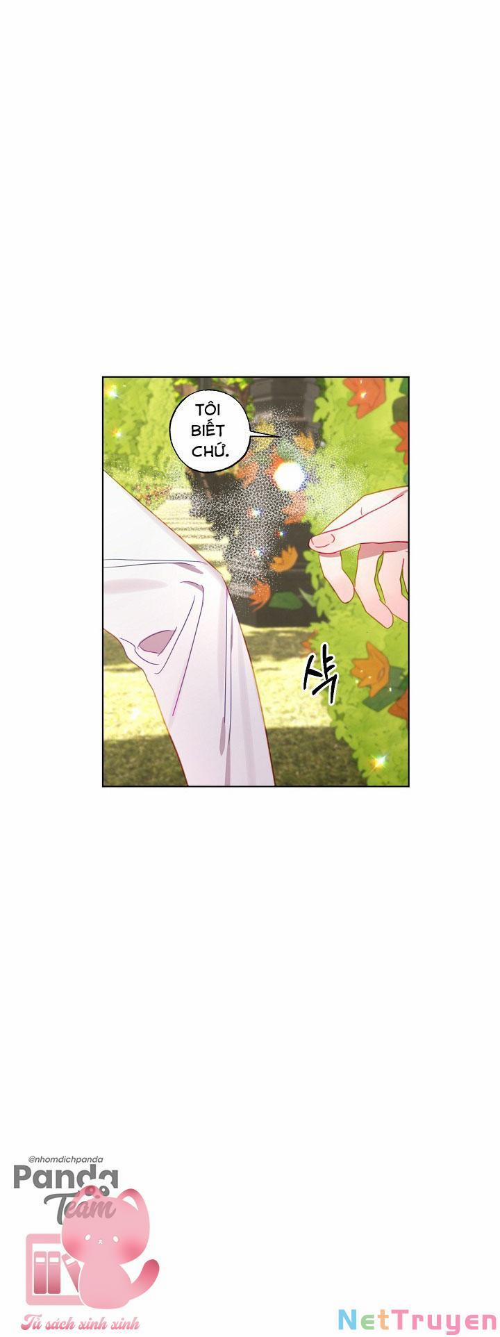 Cuộc Ly Hôn Với Chồng Tôi Đã Thất Bại 5 trang 17