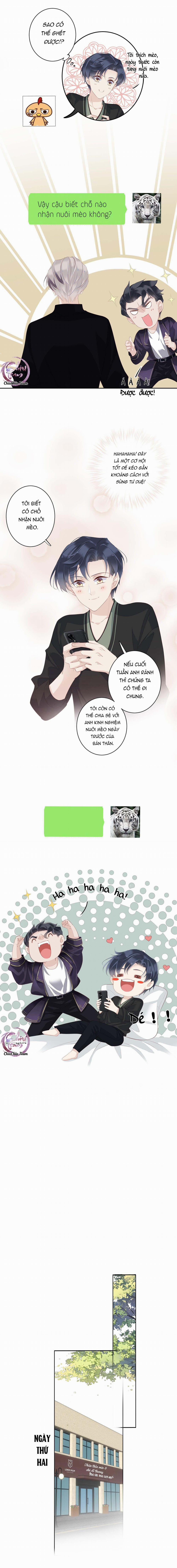 Cuộc Mai Mối Vượt Giống Loài 13 trang 5