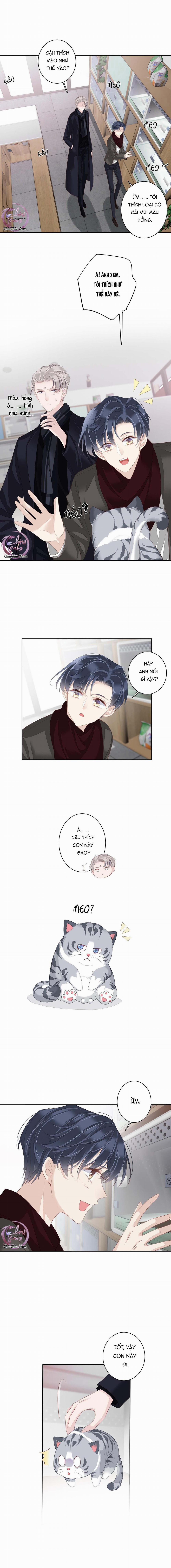 Cuộc Mai Mối Vượt Giống Loài 13 trang 6