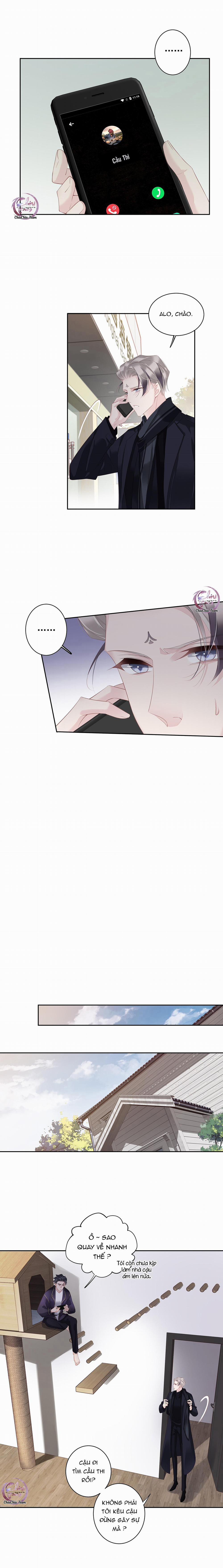 Cuộc Mai Mối Vượt Giống Loài 16 trang 1