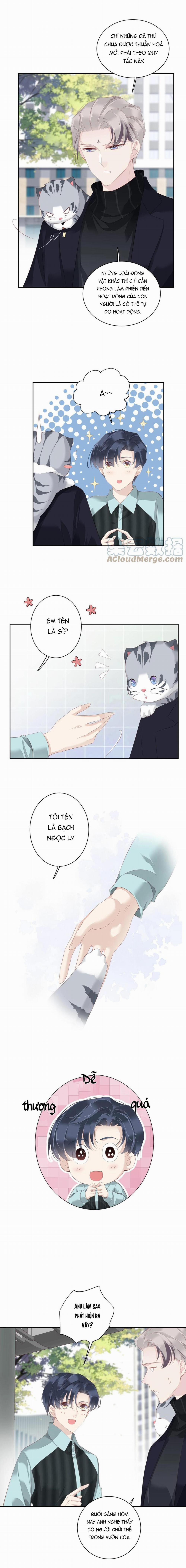 Cuộc Mai Mối Vượt Giống Loài 22 trang 5