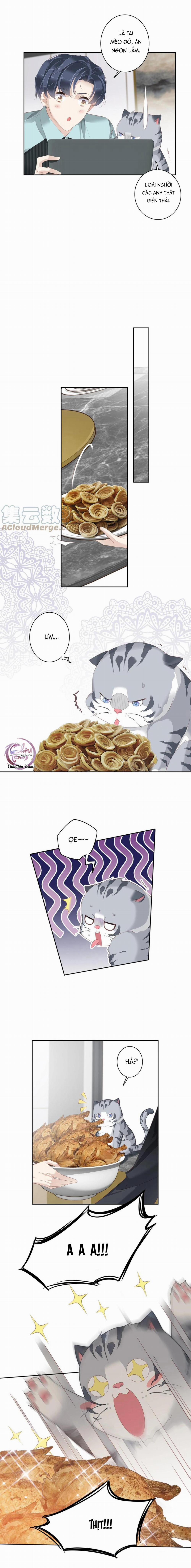 Cuộc Mai Mối Vượt Giống Loài 23 trang 2