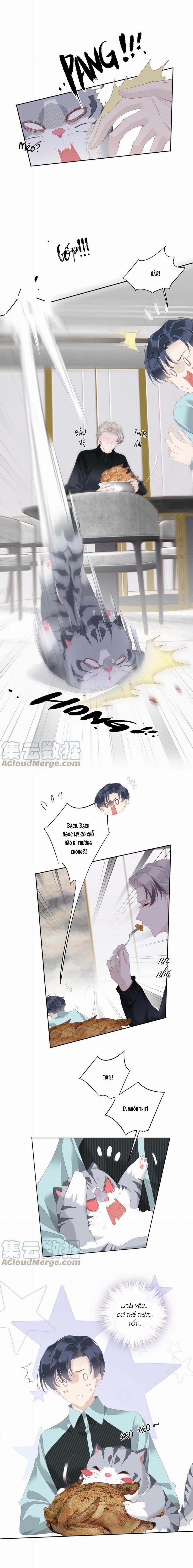 Cuộc Mai Mối Vượt Giống Loài 23 trang 3