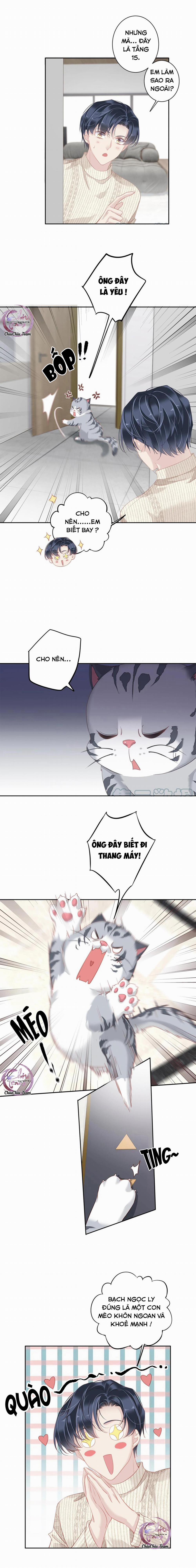 Cuộc Mai Mối Vượt Giống Loài 27 trang 1