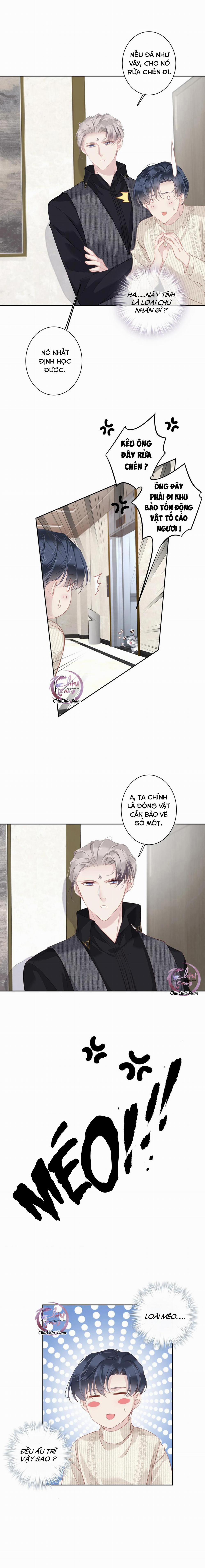 Cuộc Mai Mối Vượt Giống Loài 27 trang 2