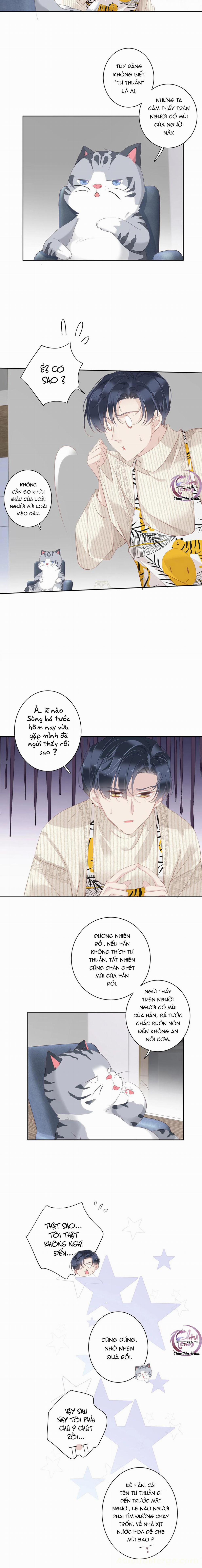 Cuộc Mai Mối Vượt Giống Loài 32 trang 4